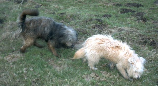 Gina und Marsch